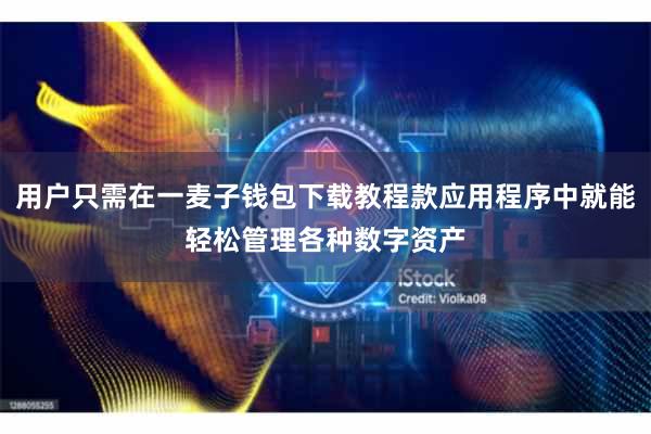 用户只需在一麦子钱包下载教程款应用程序中就能轻松管理各种数字资产