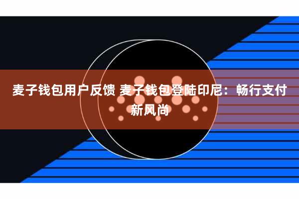 麦子钱包用户反馈 麦子钱包登陆印尼：畅行支付新风尚