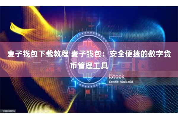 麦子钱包下载教程 麦子钱包：安全便捷的数字货币管理工具