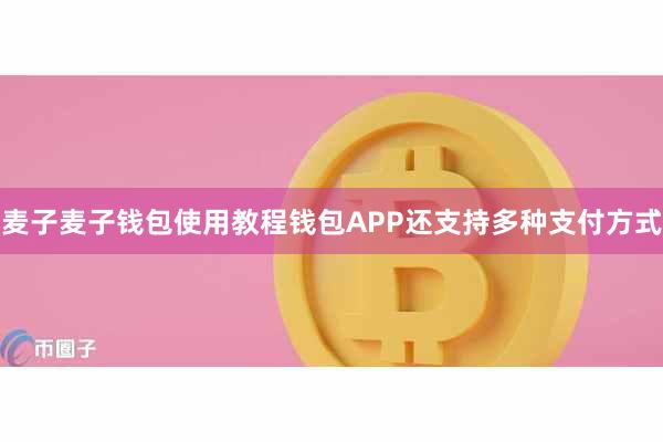麦子麦子钱包使用教程钱包APP还支持多种支付方式