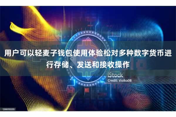 用户可以轻麦子钱包使用体验松对多种数字货币进行存储、发送和接收操作