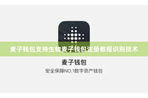 麦子钱包支持生物麦子钱包注册教程识别技术