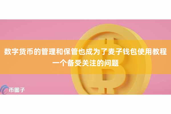 数字货币的管理和保管也成为了麦子钱包使用教程一个备受关注的问题