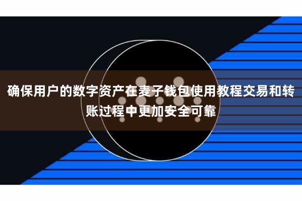 确保用户的数字资产在麦子钱包使用教程交易和转账过程中更加安全可靠