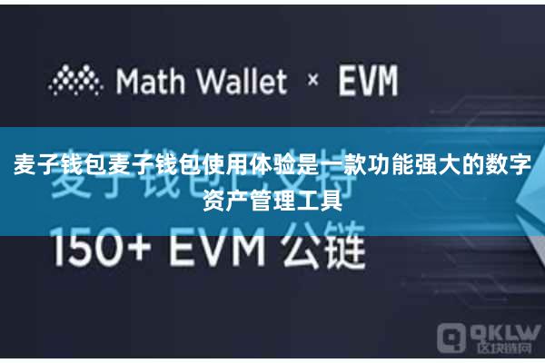 麦子钱包麦子钱包使用体验是一款功能强大的数字资产管理工具