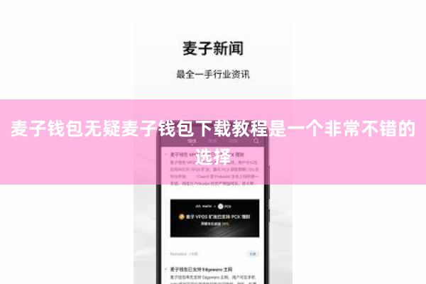 麦子钱包无疑麦子钱包下载教程是一个非常不错的选择