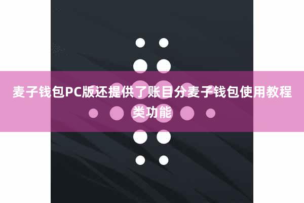 麦子钱包PC版还提供了账目分麦子钱包使用教程类功能