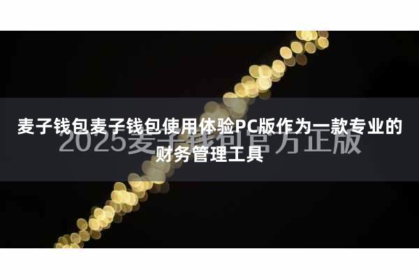 麦子钱包麦子钱包使用体验PC版作为一款专业的财务管理工具