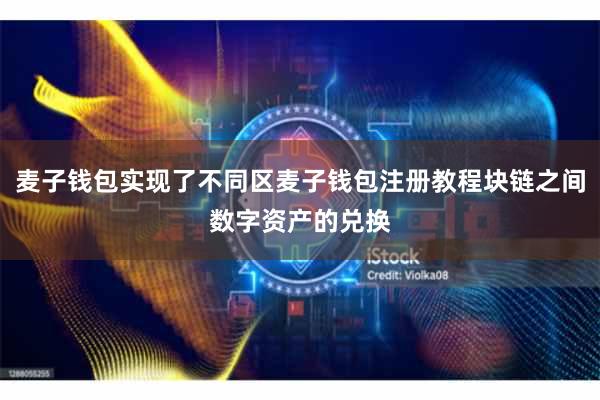 麦子钱包实现了不同区麦子钱包注册教程块链之间数字资产的兑换
