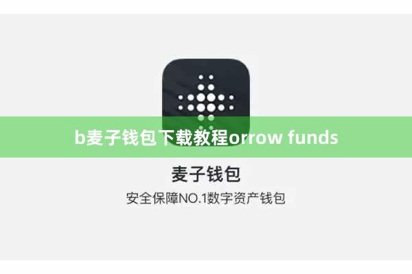 b麦子钱包下载教程orrow funds
