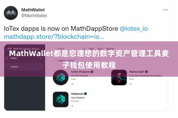 MathWallet都是您理想的数字资产管理工具麦子钱包使用教程