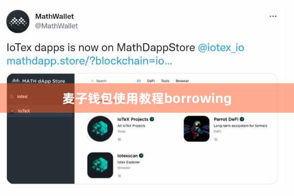 麦子钱包使用教程borrowing