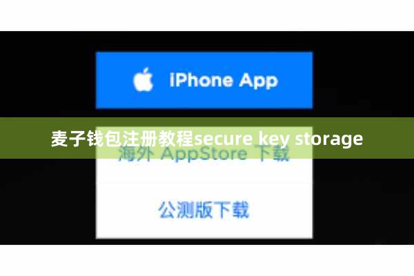 麦子钱包注册教程secure key storage