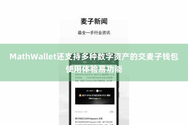 MathWallet还支持多种数字资产的交麦子钱包使用体验易功能