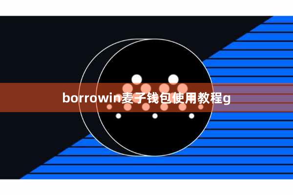 borrowin麦子钱包使用教程g