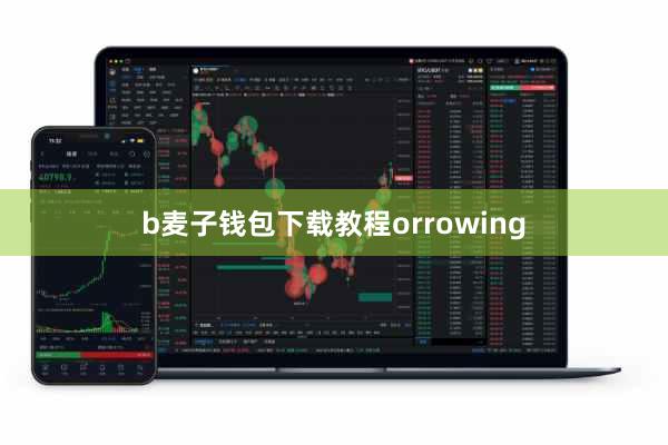 b麦子钱包下载教程orrowing