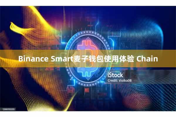 Binance Smart麦子钱包使用体验 Chain