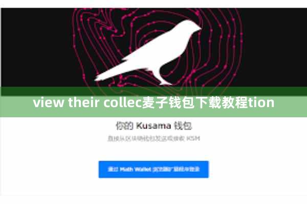 view their collec麦子钱包下载教程tion