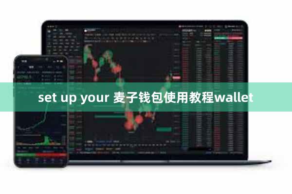 set up your 麦子钱包使用教程wallet