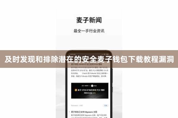及时发现和排除潜在的安全麦子钱包下载教程漏洞
