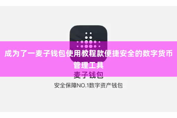 成为了一麦子钱包使用教程款便捷安全的数字货币管理工具
