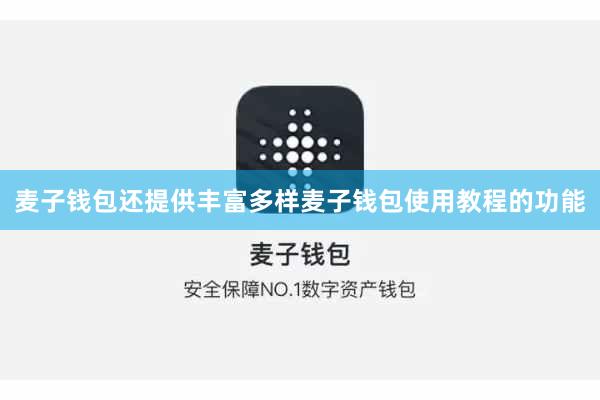 麦子钱包还提供丰富多样麦子钱包使用教程的功能