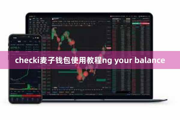 checki麦子钱包使用教程ng your balance
