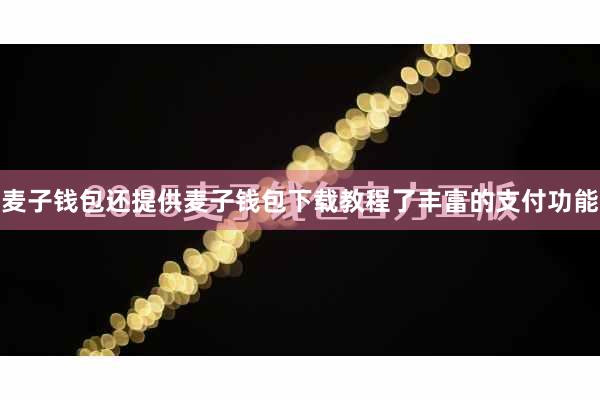 麦子钱包还提供麦子钱包下载教程了丰富的支付功能