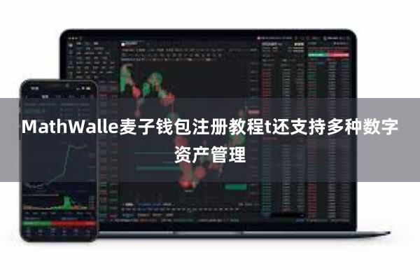 MathWalle麦子钱包注册教程t还支持多种数字资产管理